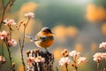 A little brown sparrow sitting bedside the flowers