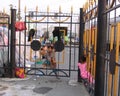 Little brown street girl looks out through the bars of the fence