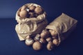 Little brwon mushrooms in a paper bag Royalty Free Stock Photo
