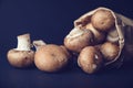 Little brwon mushrooms in a paper bag