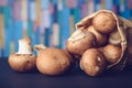 Little brwon mushrooms in a paper bag Royalty Free Stock Photo