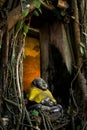 Little Buddha Royalty Free Stock Photo