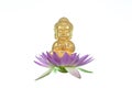 A little Buddha statue sitting on a pink lotus flower isolated on a white background Royalty Free Stock Photo