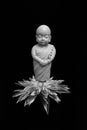 Little Buddha statue standing on the lotus flower on a dark background Royalty Free Stock Photo