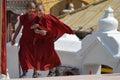 Little buddhist monks