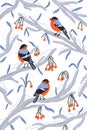 Little bullfinch birds outside my winter window, vector illustration