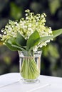 A little bunch of lilies of the valley, Convallaria majalis, in a glass vase