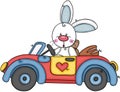 Little bunny driving a small car