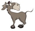 The little burro. Cartoon