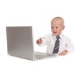 Little Business Prodigy Using a Laptop Computer Royalty Free Stock Photo