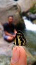 A little butterfly perched on the finger , taken with smartphone
