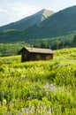 A little cabin in a field of wildflowers