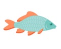 Little carp fish illustration. One single animal, side view, close up. Handdrawn graphic drawing on white background