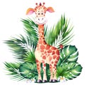 Little cartoon giraffe and green tropical leaves. Royalty Free Stock Photo