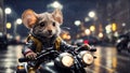 A little cartoon mouse rides motorcycle through the city at night fun