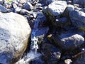 A little cascade of Heliotrope Creek on Mount Baker Royalty Free Stock Photo