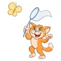 Little cat is catching butterfly Royalty Free Stock Photo