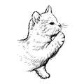 Little cat hand drawn Royalty Free Stock Photo