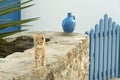 Little Cat At Island House Entrance Royalty Free Stock Photo