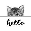 Little cat, kitten black and white vector illustration. Hand drawn sketch drawing. Pet portrait, peeking out from behind Royalty Free Stock Photo