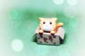 Little cute plastic cat in a box Royalty Free Stock Photo