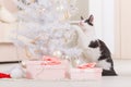 Little cat playing with Christmas tree ornaments Royalty Free Stock Photo