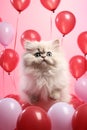 A little cat in a romantic setting with pink balloons and red balloons. Royalty Free Stock Photo