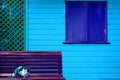 Little cat sitting on purple wooden bench in front of vivid blue tone house outer wall Royalty Free Stock Photo