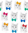 Little cats with a bows. Seamless pattern. Color graphic illustration. Background Royalty Free Stock Photo