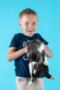 Little caucasian boy with blond hair holding cute kitten on blue background, smiling. Friendship of happy child with cat. Royalty Free Stock Photo