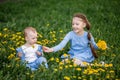 Little caucasian boy and girl sitting on dandelion flowers meadow Royalty Free Stock Photo