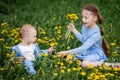 Little caucasian boy and girl sitting on dandelion flowers meadow Royalty Free Stock Photo