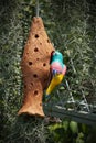 Little ceramic bird and nest made by clay for garden decorations