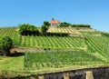 Little Charming Chapel Michaelskapelle Perching On The Michelberg Vineyard Hill In Bad Duerkheim Germany