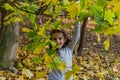 Little charming girl child throws up fallen yellow maple leaves in autumn park