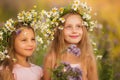 Little cheerful girls in chamomile wreaths in summer in the field Royalty Free Stock Photo