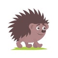 Little cheerful hedgehog on a white background