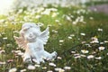 Little cherub and daisy flowers