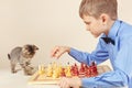 Little chessplayer with cute kitten plays chess. Royalty Free Stock Photo