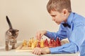 Little chessplayer with playful kitten plays chess. Royalty Free Stock Photo