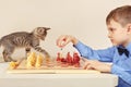 Little chessplayer with pretty kitten plays chess. Royalty Free Stock Photo