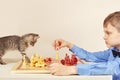 Little chessplayer with striped kitten plays chess. Royalty Free Stock Photo