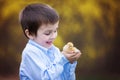 Little chick in child hands Royalty Free Stock Photo