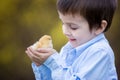 Little chick in child hands Royalty Free Stock Photo