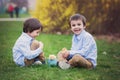 Little chick in child hands, two boys watching the chicks Royalty Free Stock Photo