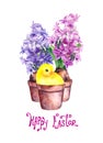 Little chick in a flower pot, spring hyacinth flowers. Cute watercolor with text Happy Easter