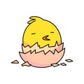 little chick hatching from an easter egg. flat vector illustration Royalty Free Stock Photo