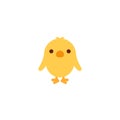 Little chicken icon illustration emoji