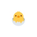 Little chicken icon illustration emoji