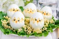 Little chicken in nest, deviled eggs served with salad and dry ramen on plate, horizontal